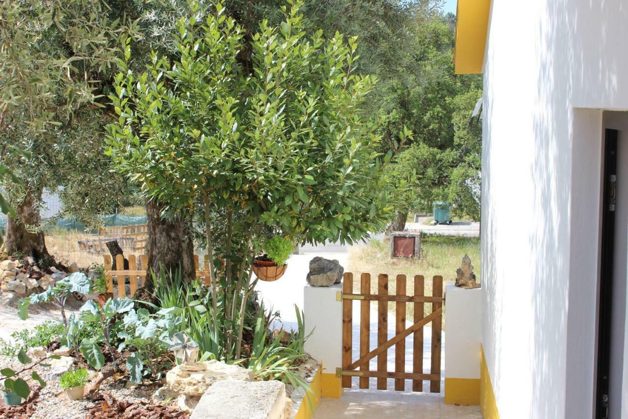 Turismo Rural Casa Da Ceu Amiais de Cima Экстерьер фото